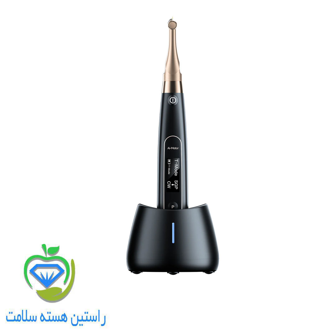 موتور روتاری اپکس بی سیم AI-MOTOR